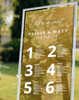 Personalised Wedding Seating Chart Sign, Custom UV Print Reception Guest Plan, Find Your Seat Mirror Signage Engagement Birthday Party Decor