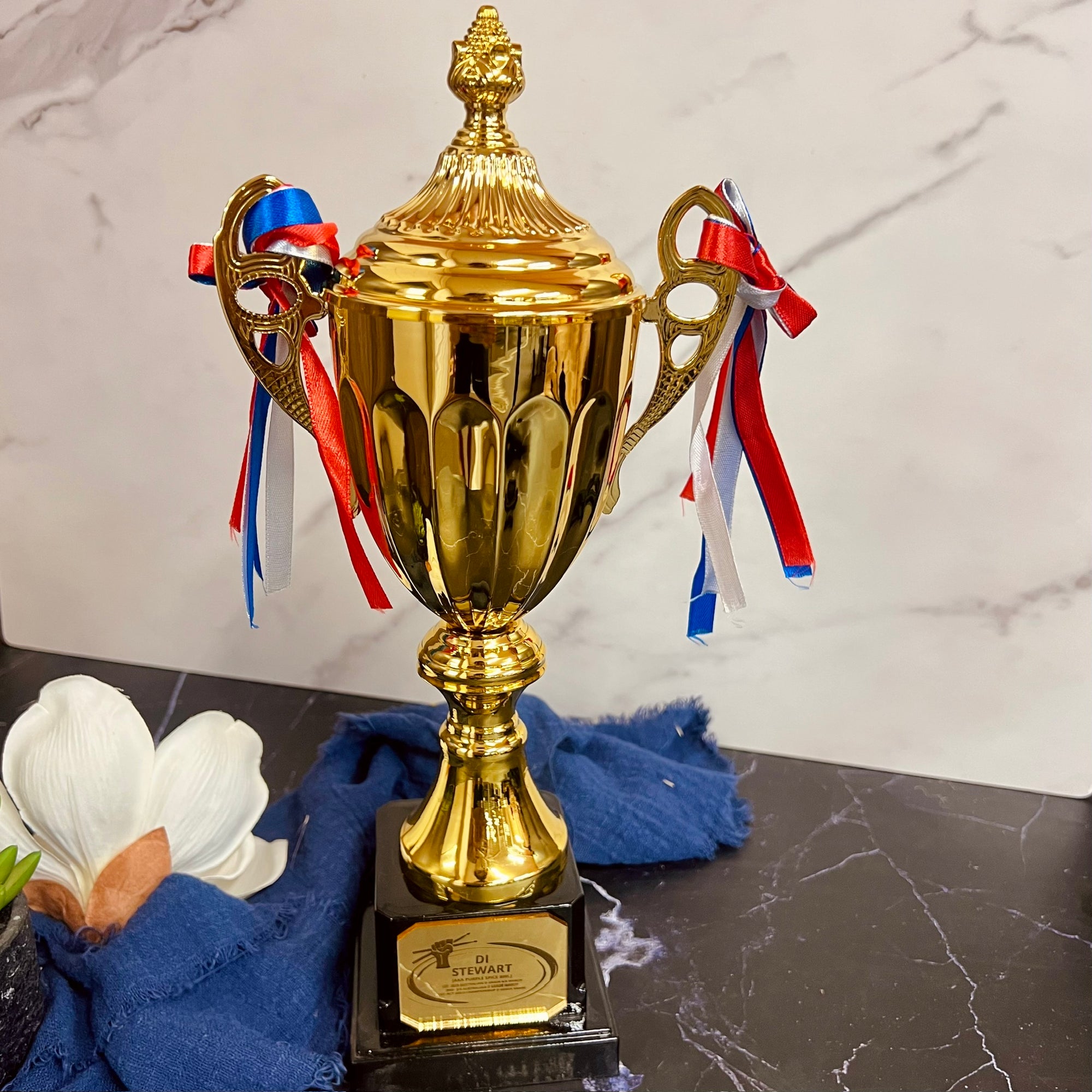 Metal Golden Trophy Cup & Custom Engraved Plaque, Personalised Award Winner, Sport, Staff, Teacher, Employee, Dad Celebration Gift Keepsake