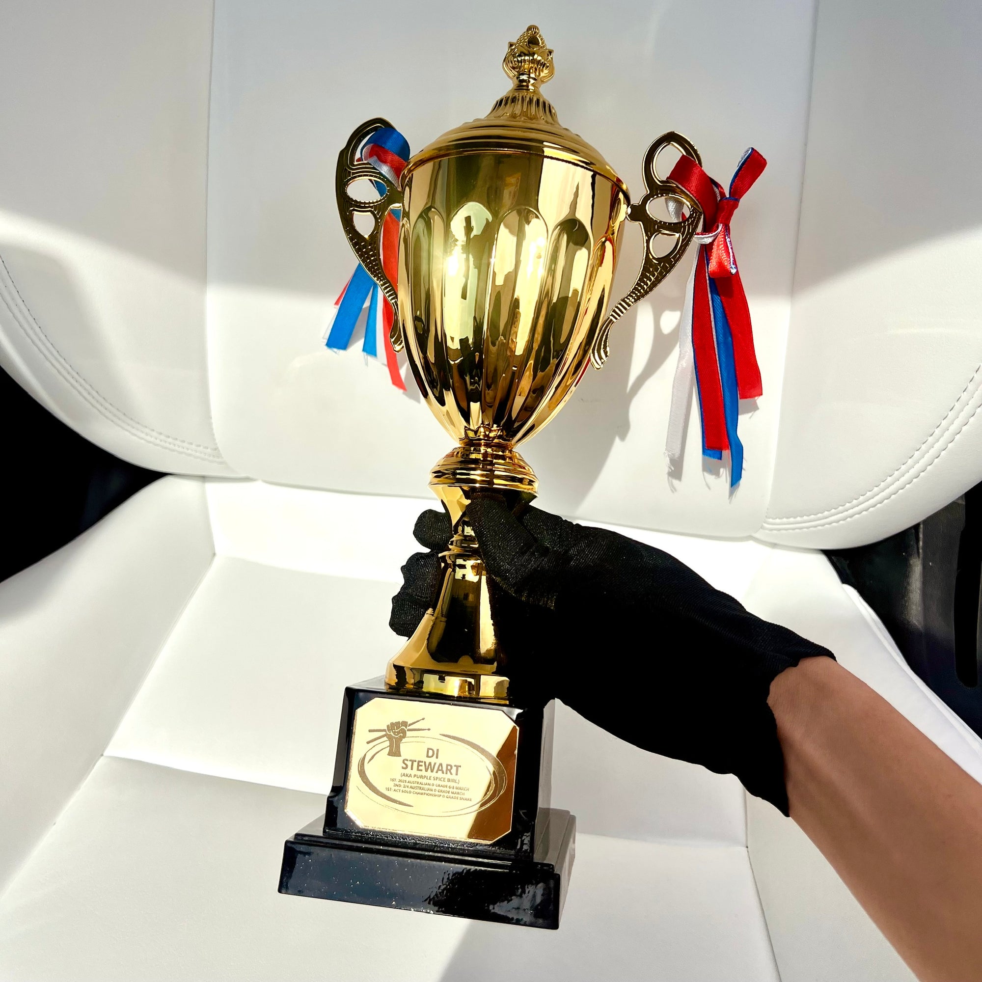 Metal Golden Trophy Cup & Custom Engraved Plaque, Personalised Award Winner, Sport, Staff, Teacher, Employee, Dad Celebration Gift Keepsake