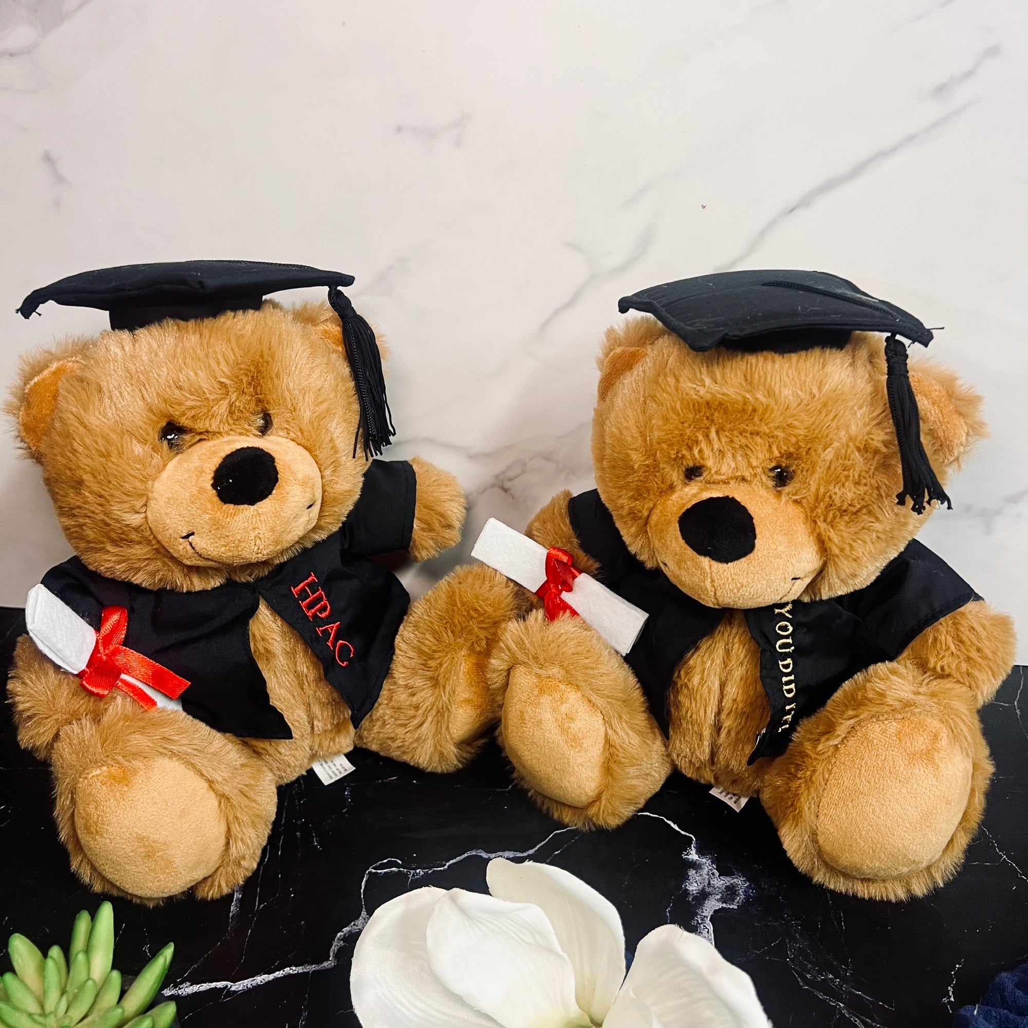 Personalised Embroidery Graduation Teddy, Custom Embroidered Cap & Gown Bear, Kid Preschool/ Year 6/ 12/ University Grad Plush Keepsake Gift