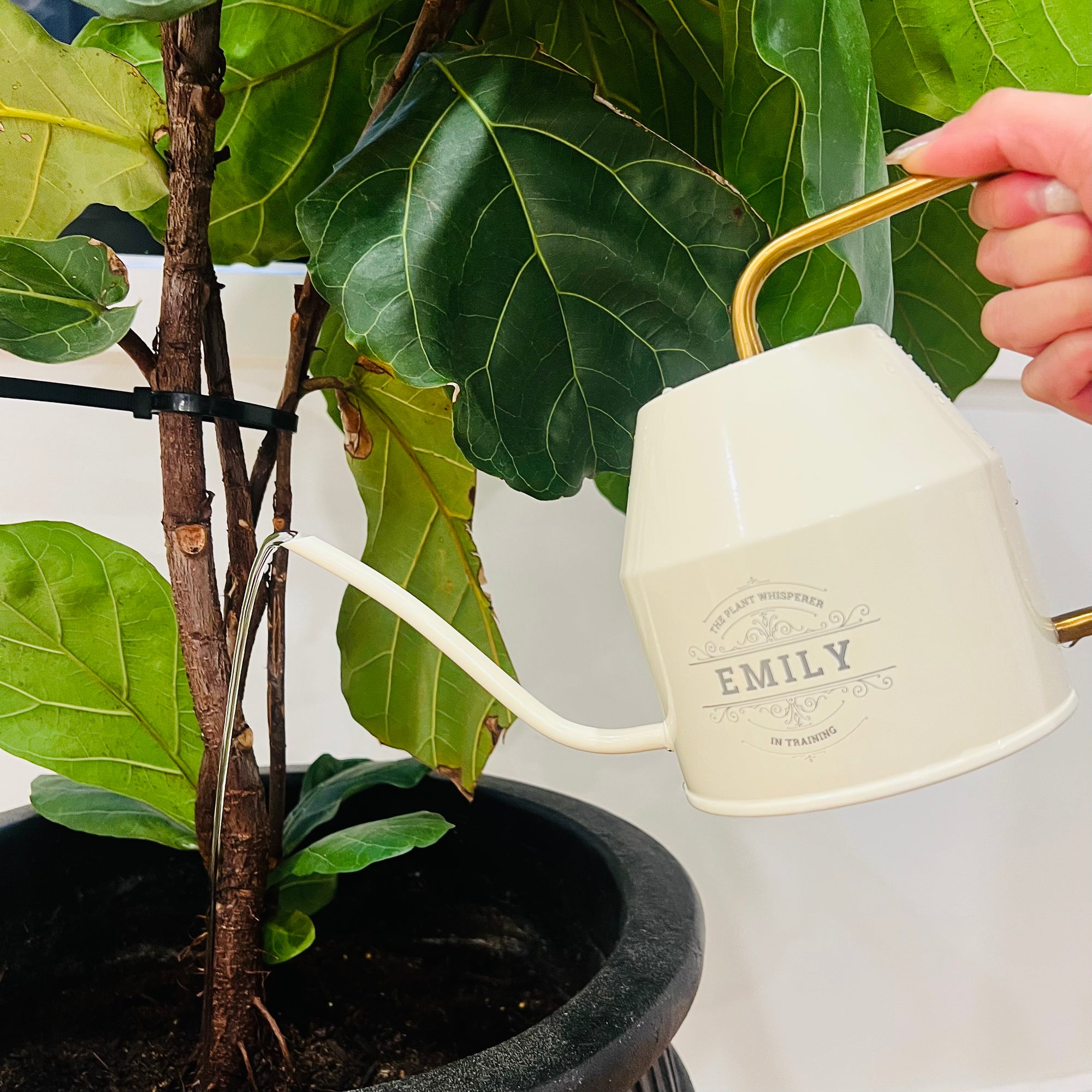 Personalised Garden Watering Can, Custom Engraved Flower Plant Tool, Teacher, Anniversary, Housewarming, Wedding, Birthday Mom Dad Xmas Gift