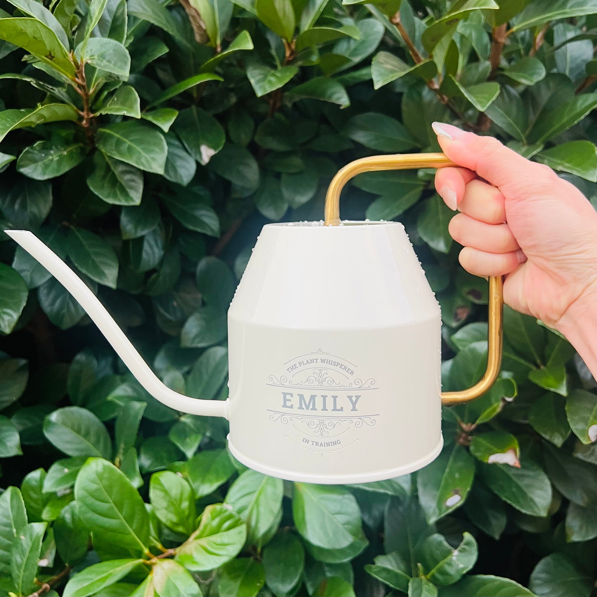 Personalised Garden Watering Can, Custom Engraved Flower Plant Tool, Teacher, Anniversary, Housewarming, Wedding, Birthday Mom Dad Xmas Gift