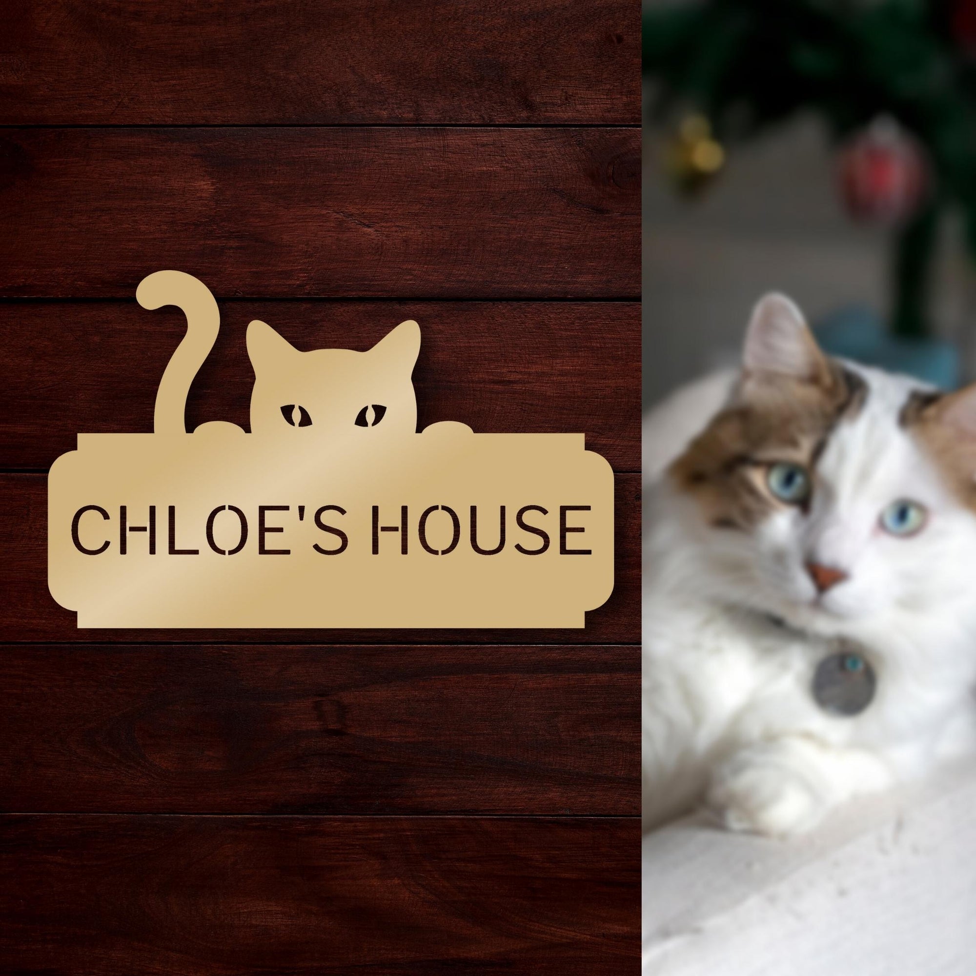 Custom Made Floating Modern Acrylic Pet House Number, Palm Coastal Street Name Home Address, Mailbox/ Letterbox/ Room/ Door Sign, Dog/ Cat Plaque, Personalised Wall Plate, Business Logo Signage for Office, Company, Apartment, Hotel/ House Warming's Gift