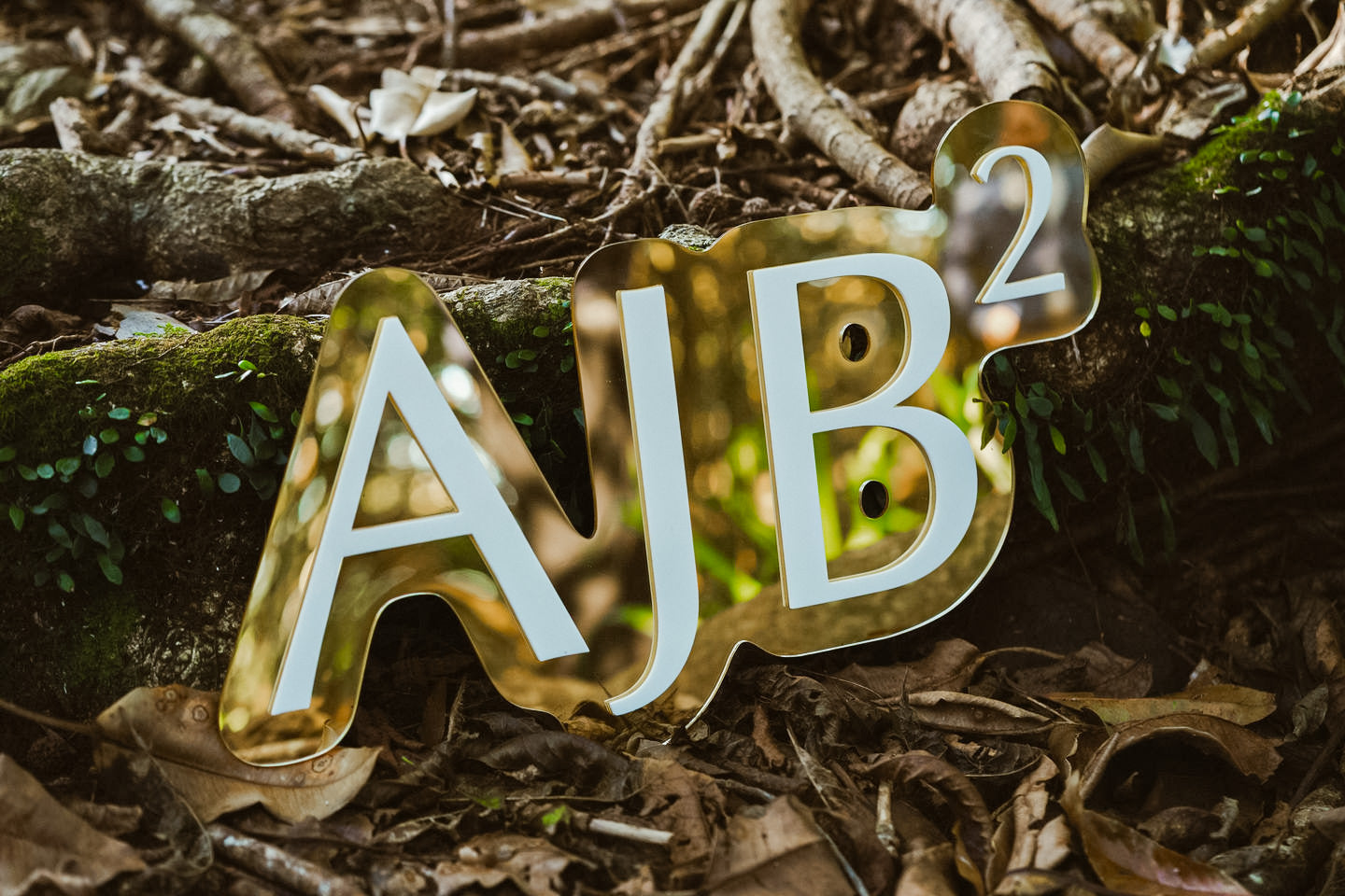 Custom Acrylic 3D Double Layered Business Logo Sign, Personalised Rose/ Gold Mirror Names, Coffee, Retail, Spa, Eyelash Signage