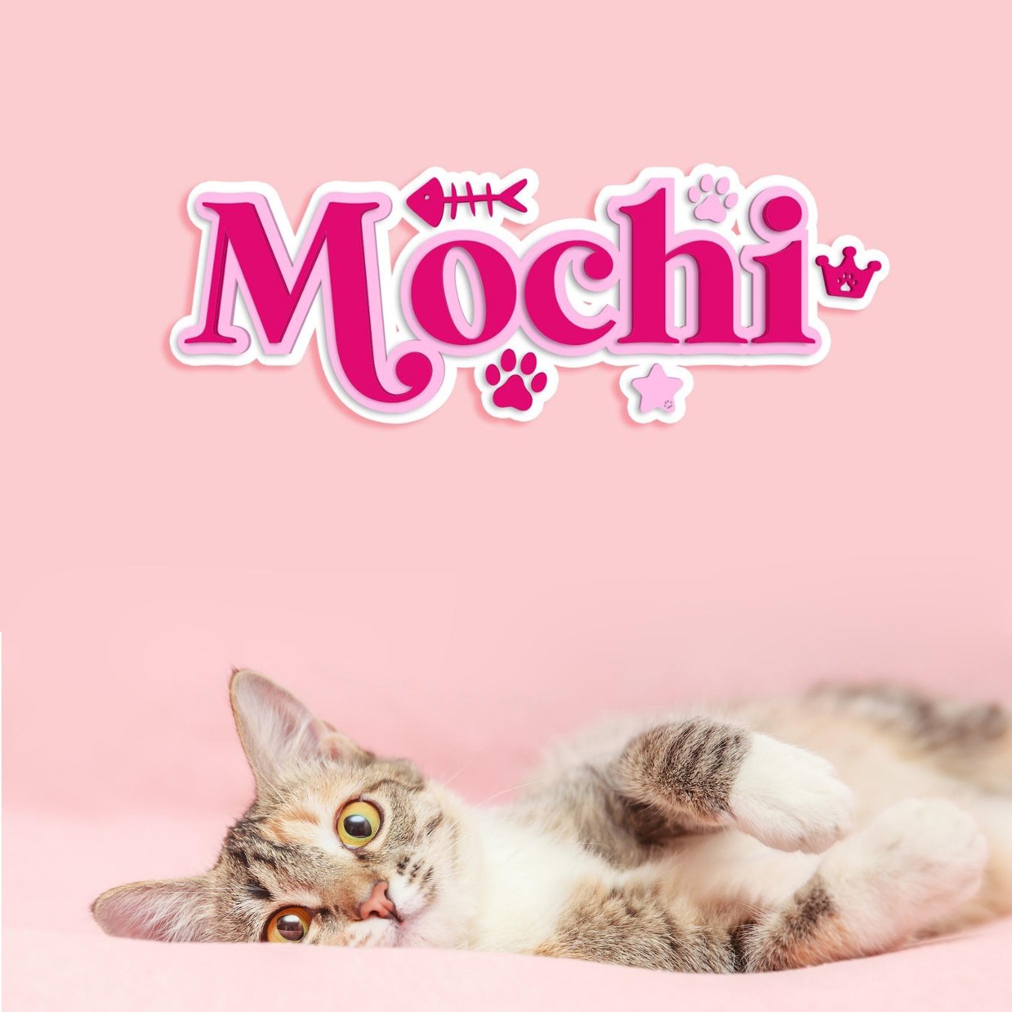 Custom Acrylic 3D Triple Layer Paw & Bones Pet Script Name Sign, Personalised Mirror Dog Nursery Wall Decor, Birthday Party, Event Signage