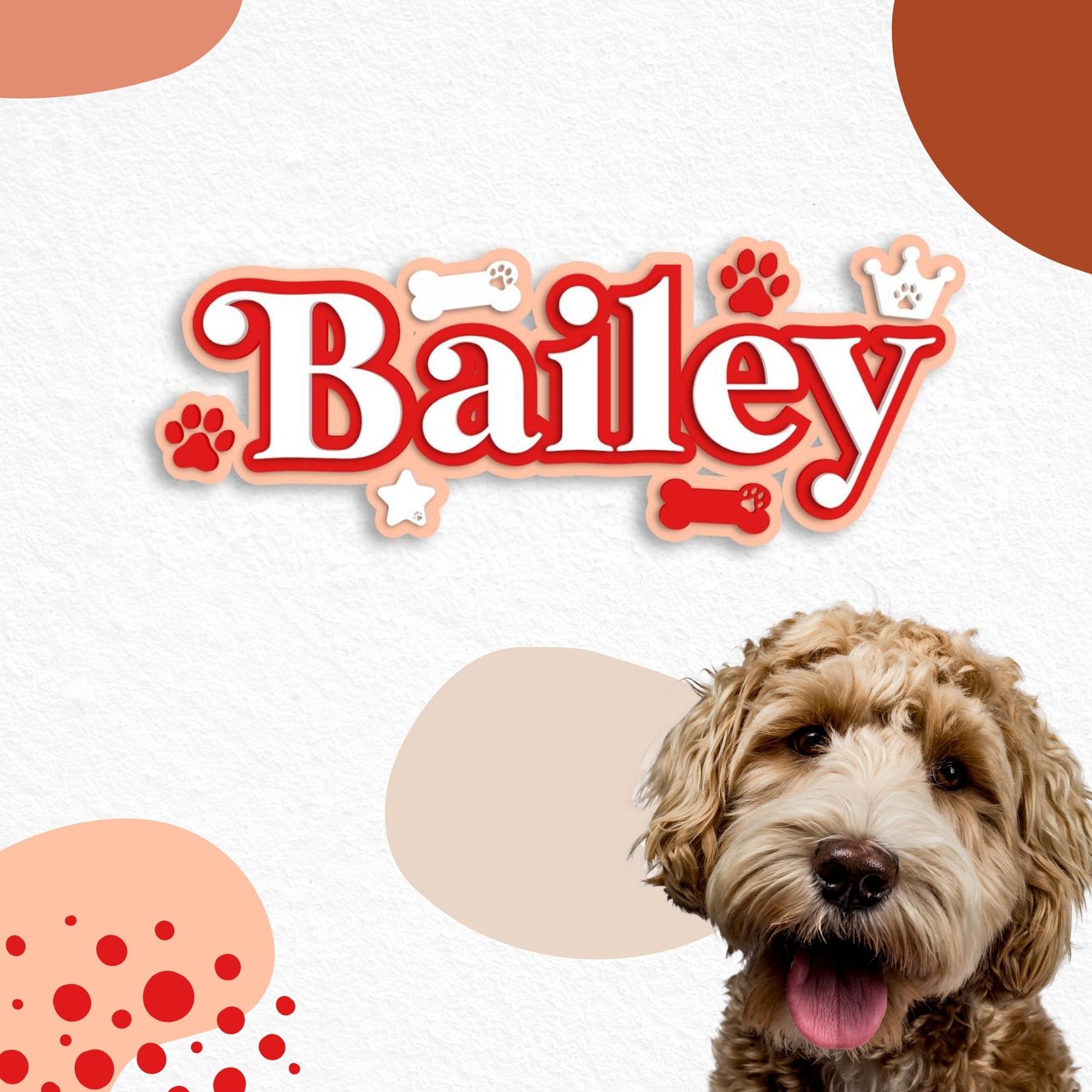 Custom Acrylic 3D Triple Layer Paw & Bones Pet Script Name Sign, Personalised Mirror Dog Nursery Wall Decor, Birthday Party, Event Signage