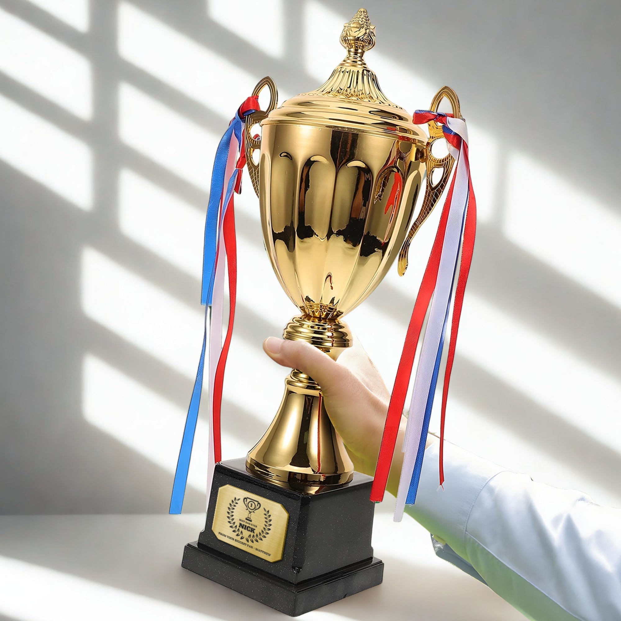 Metal Golden Trophy Cup &amp; Custom Engraved Plaque, Personalised Award Winner, Sport, Staff, Teacher, Employee, Dad Celebration Gift Keepsake