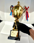 Metal Golden Trophy Cup & Custom Engraved Plaque, Personalised Award Winner, Sport, Staff, Teacher, Employee, Dad Celebration Gift Keepsake