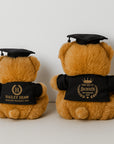 Personalised Embroidery Graduation Teddy, Custom Embroidered Cap & Gown Bear, Kid Preschool/ Year 6/ 12/ University Grad Plush Keepsake Gift