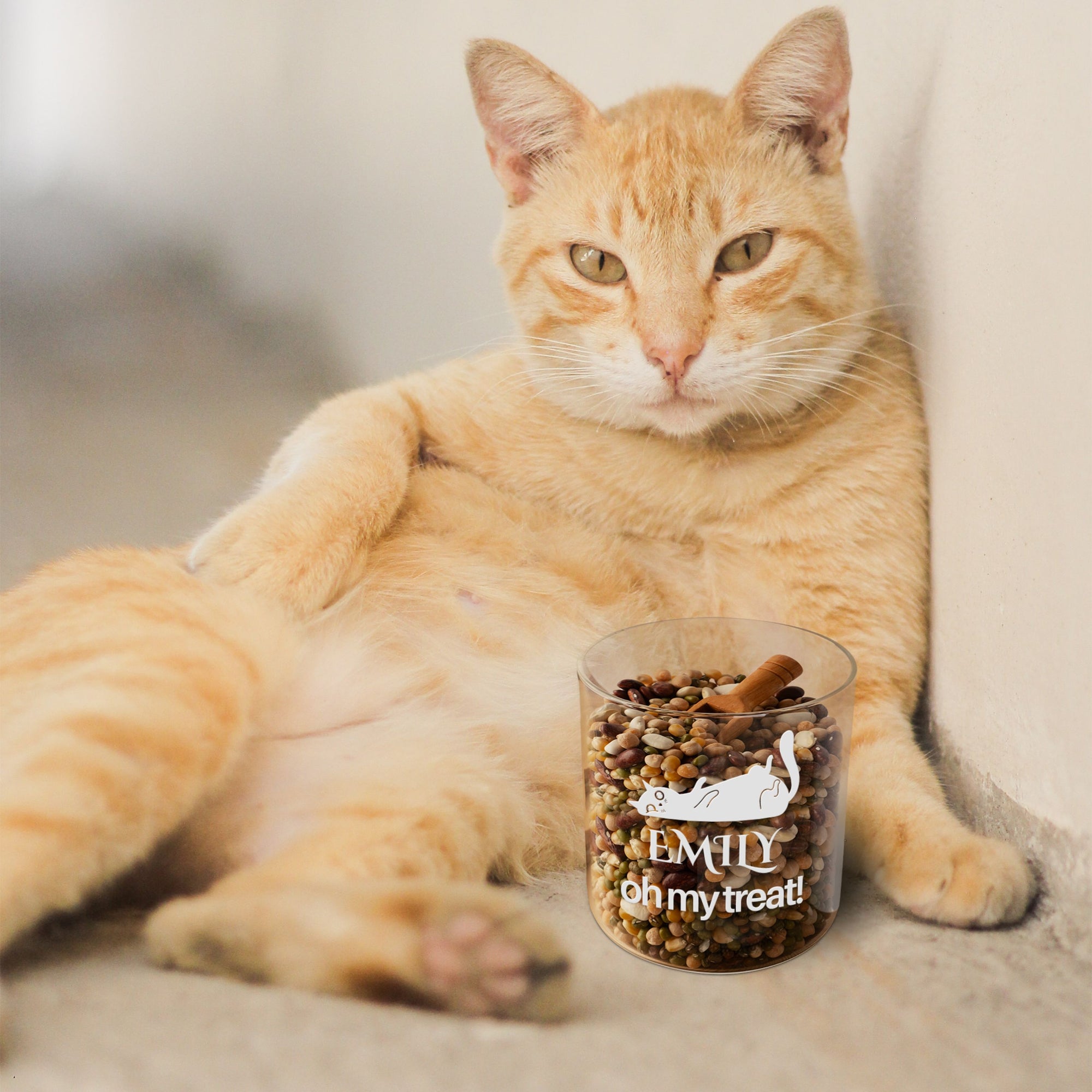 Personalised Wooden Lid Glass Pet Jar, Custom Etch Print Treat, Cat's Food Snack Canister, Jerky, Mussel Dog Chew Storage, Housewarming Gift