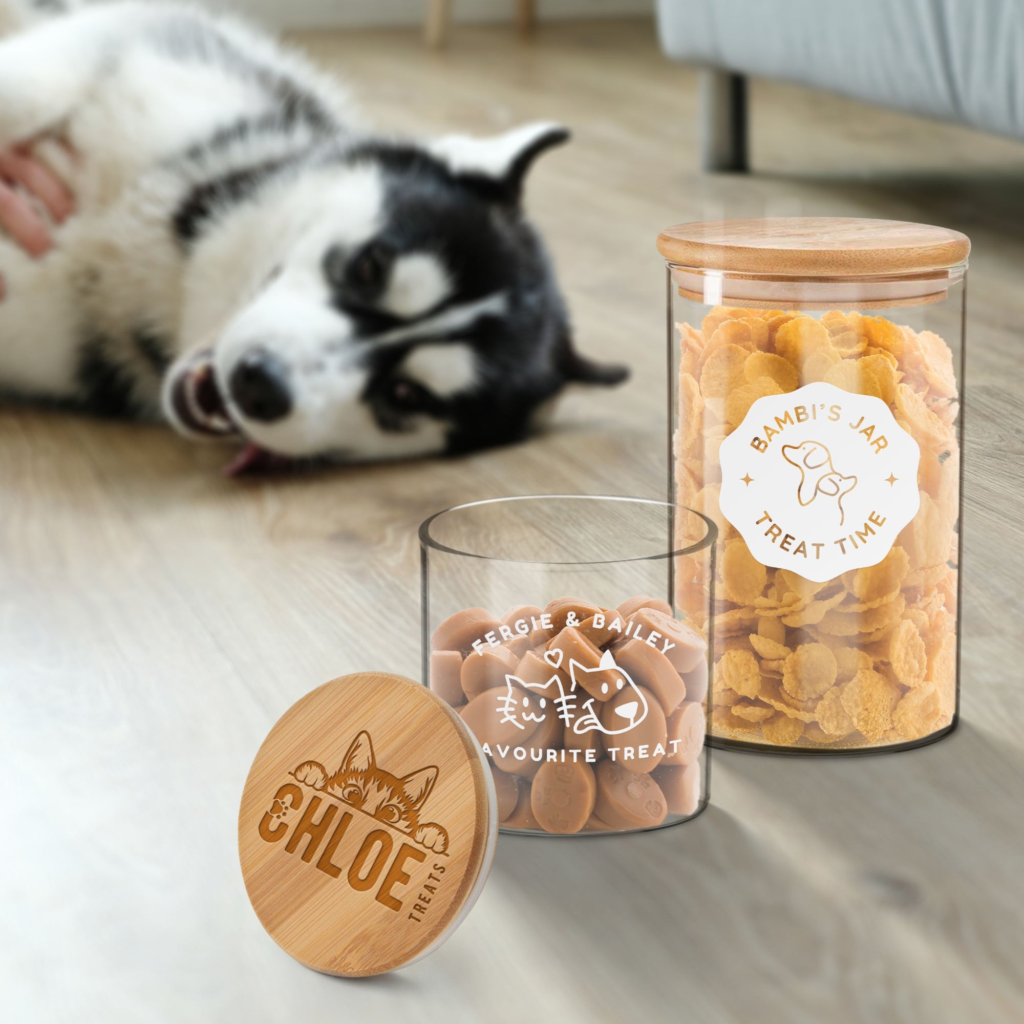 Personalised Wooden Lid Glass Pet Jar, Custom Etch Print Treat, Cat&#39;s Food Snack Canister, Jerky, Mussel Dog Chew Storage, Housewarming Gift