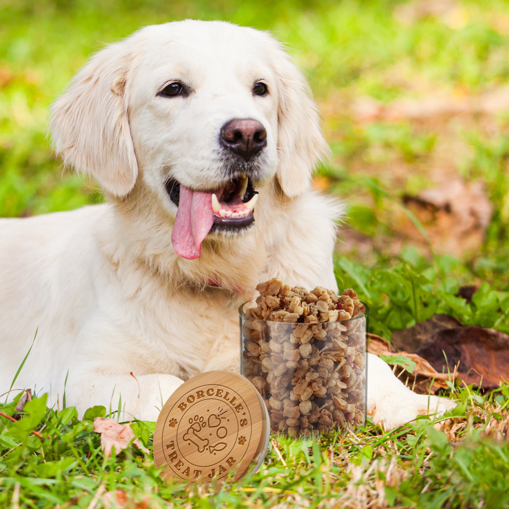 Personalised Wooden Lid Glass Pet Jar, Custom Etch Print Treat, Cat&#39;s Food Snack Canister, Jerky, Mussel Dog Chew Storage, Housewarming Gift