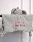 Custom Embroidered Fleece Elephant/ Cow Comforter – Suitable for Newborn +