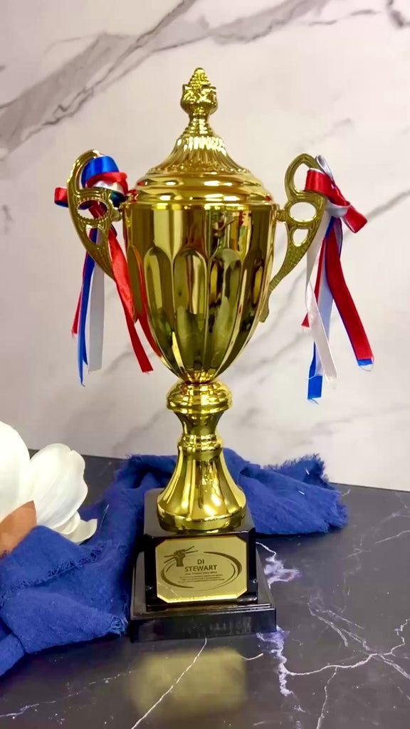 Metal Golden Trophy Cup & Custom Engraved Plaque, Personalised Award Winner, Sport, Staff, Teacher, Employee, Dad Celebration Gift Keepsake