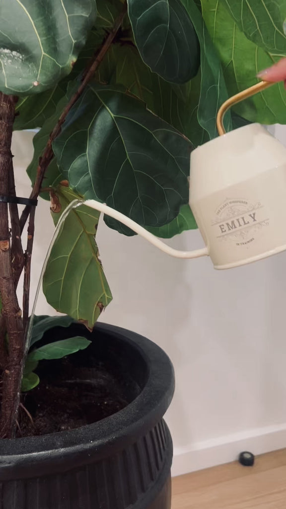 Personalised Garden Watering Can, Custom Engraved Flower Plant Tool, Teacher, Anniversary, Housewarming, Wedding, Birthday Mom Dad Xmas Gift